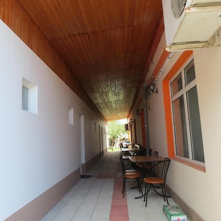 Pensiunea Cetina Brad  Esterno foto