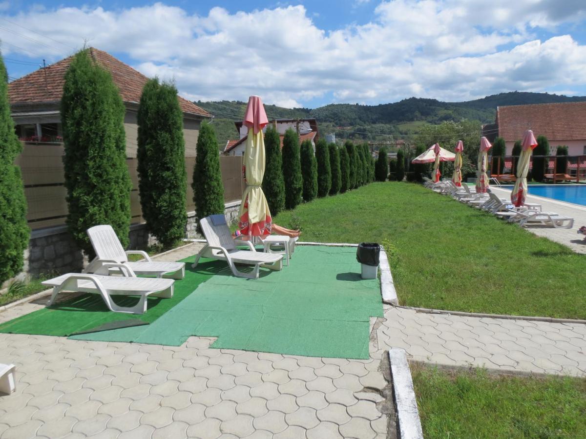 Pensiunea Cetina Brad  Esterno foto