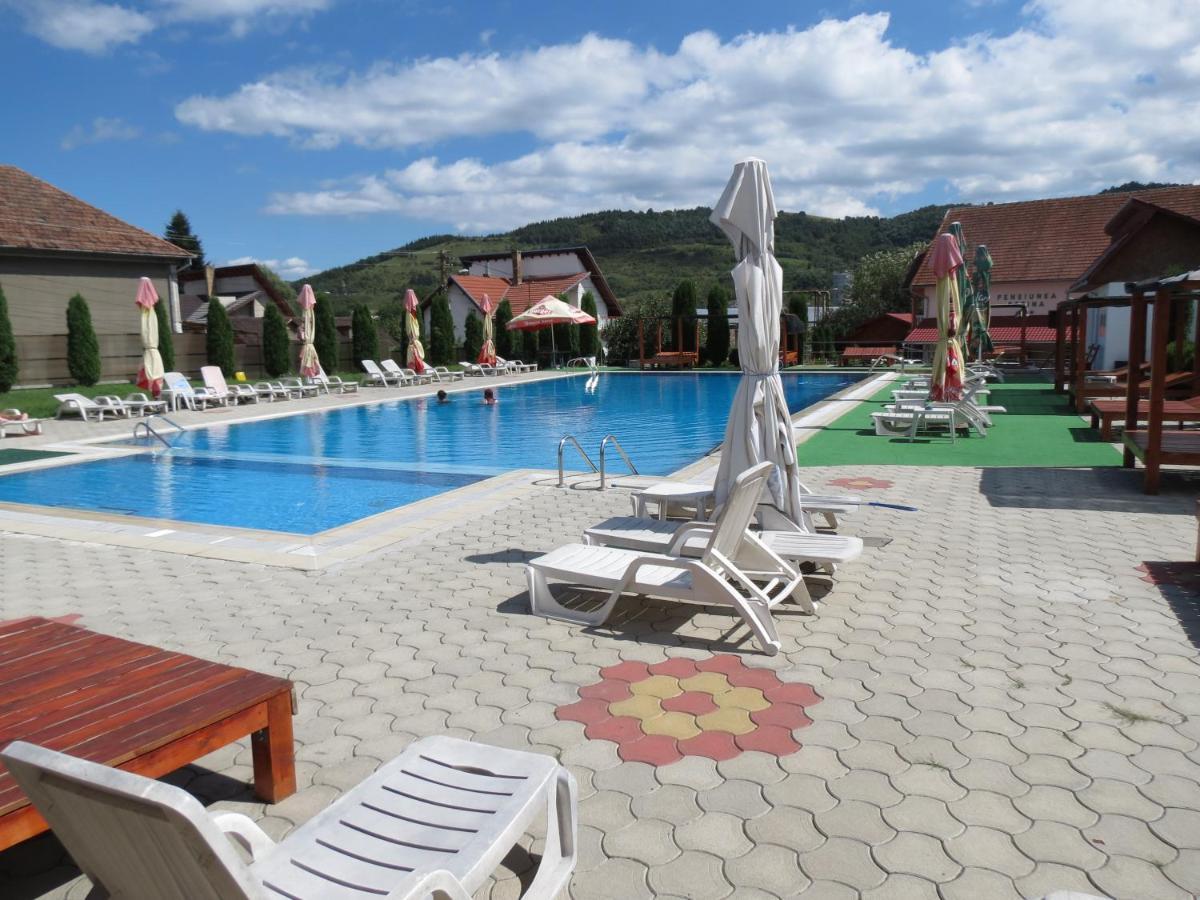 Pensiunea Cetina Brad  Esterno foto