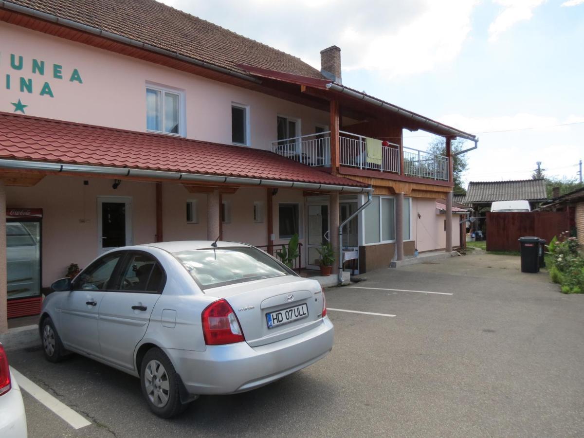 Pensiunea Cetina Brad  Esterno foto