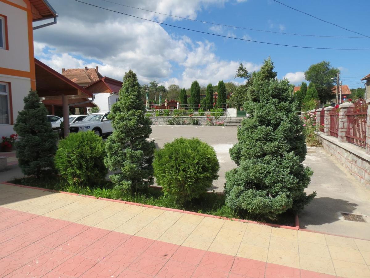 Pensiunea Cetina Brad  Esterno foto