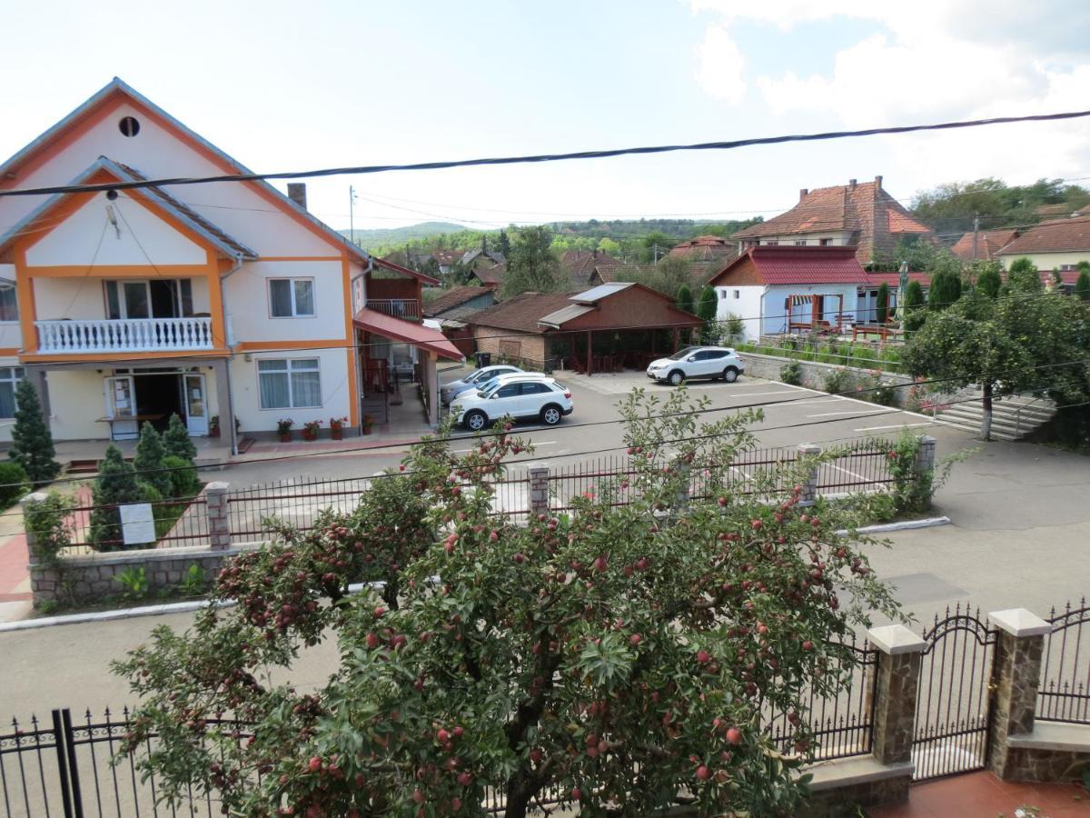 Pensiunea Cetina Brad  Esterno foto