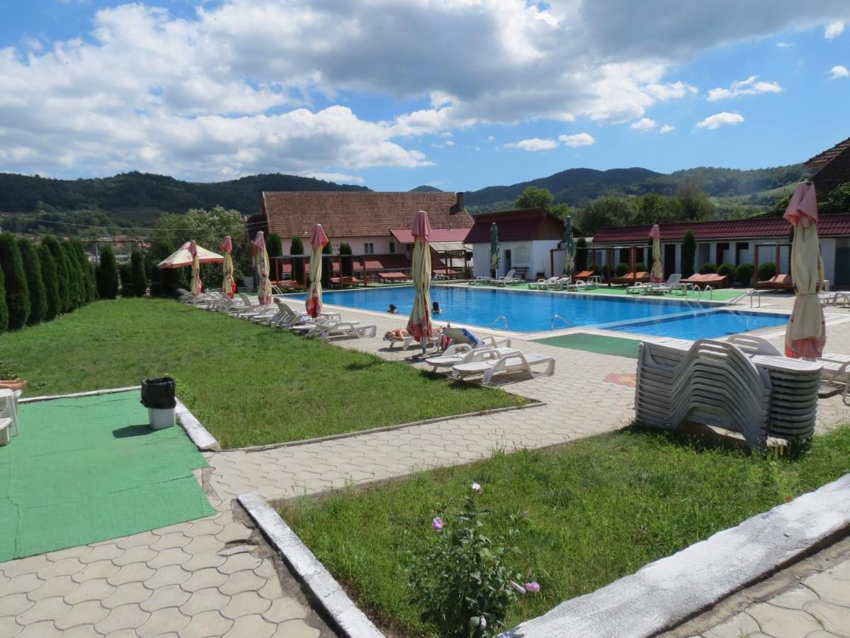 Pensiunea Cetina Brad  Esterno foto