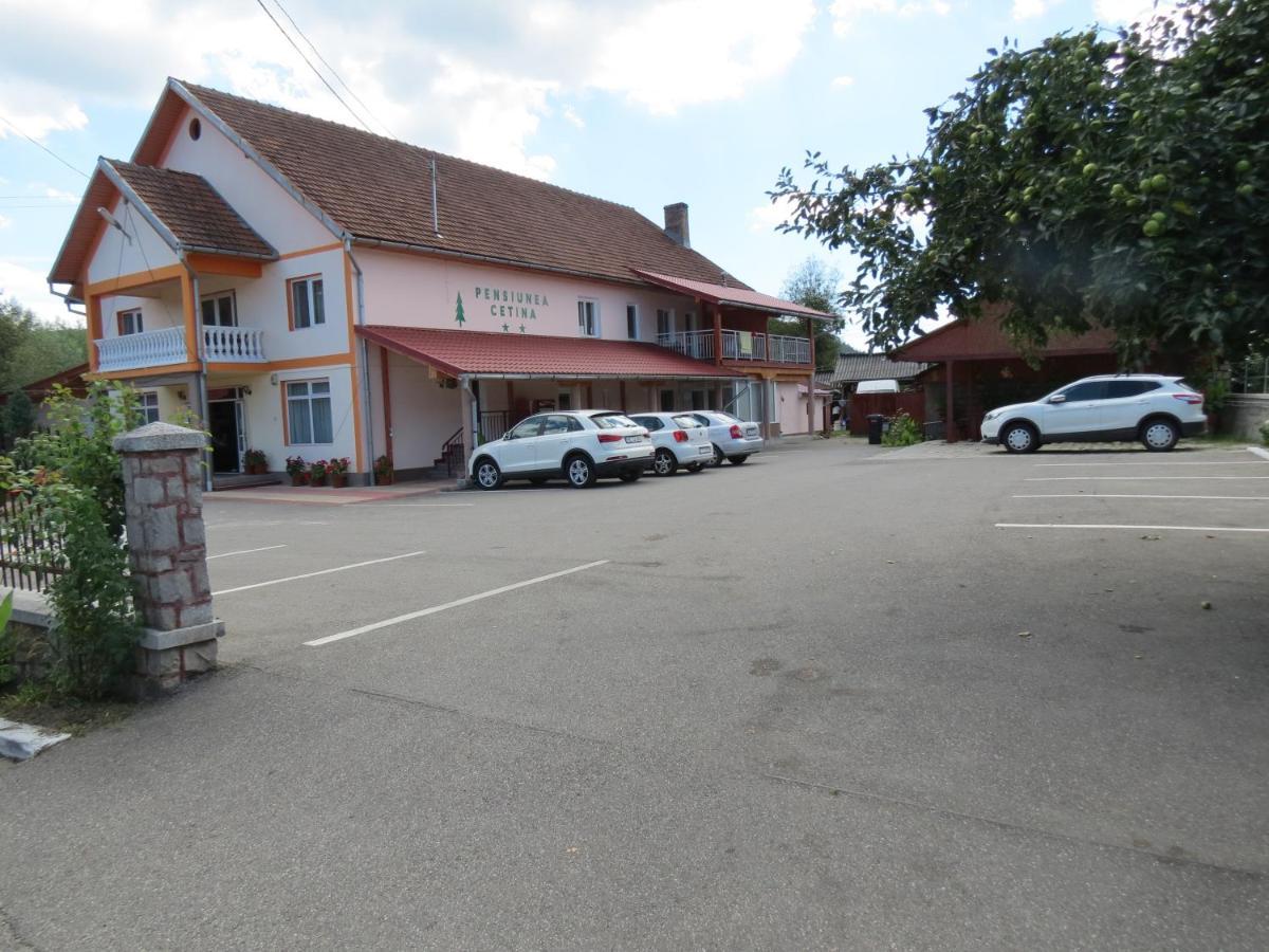 Pensiunea Cetina Brad  Esterno foto